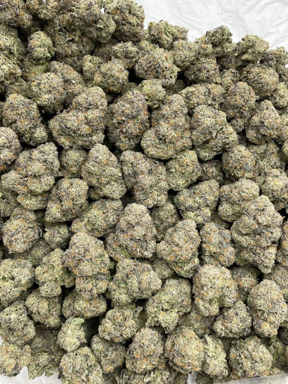 FROSTED FLAKES