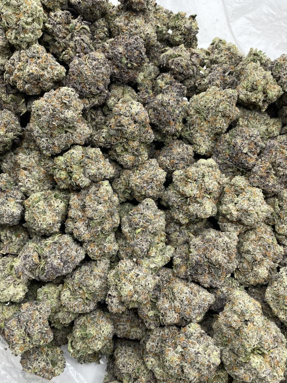 GORILLA RUNTZ