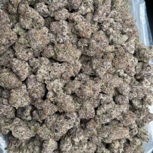 LEMON CHERRY GELATO