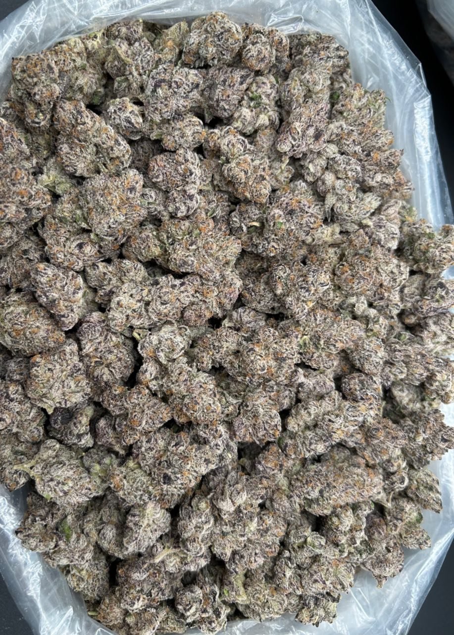 LEMON CHERRY GELATO